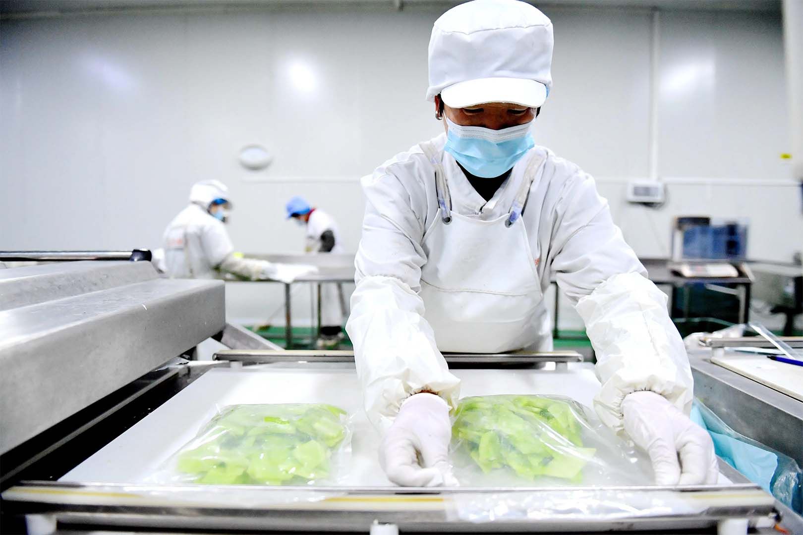 1730256264108894.jpg 凈菜01.jpg